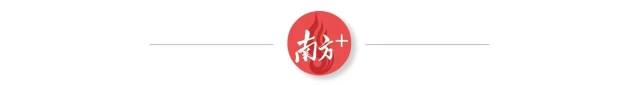 又大又憨萌，内心柔软的乐昌炮弹香芋，粉它